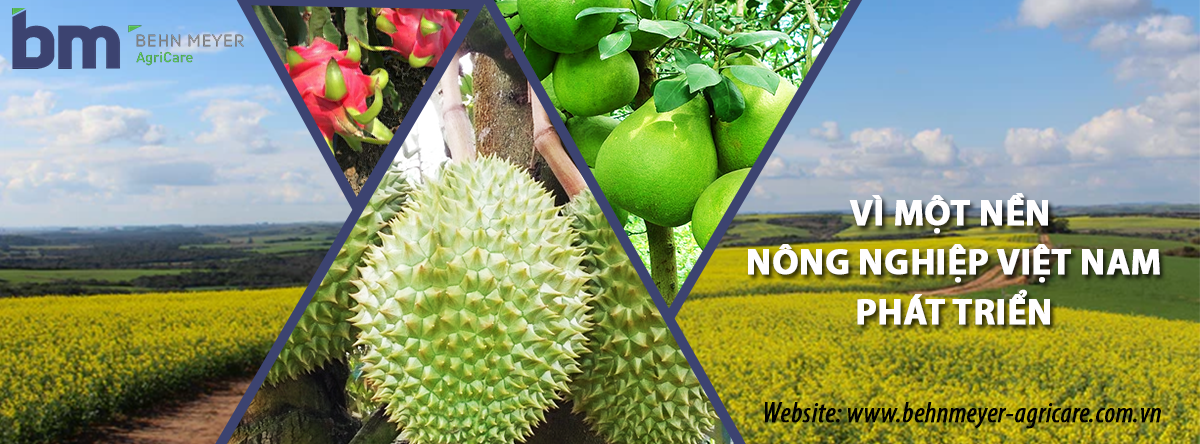 Cover image for Behn Meyer Agricare