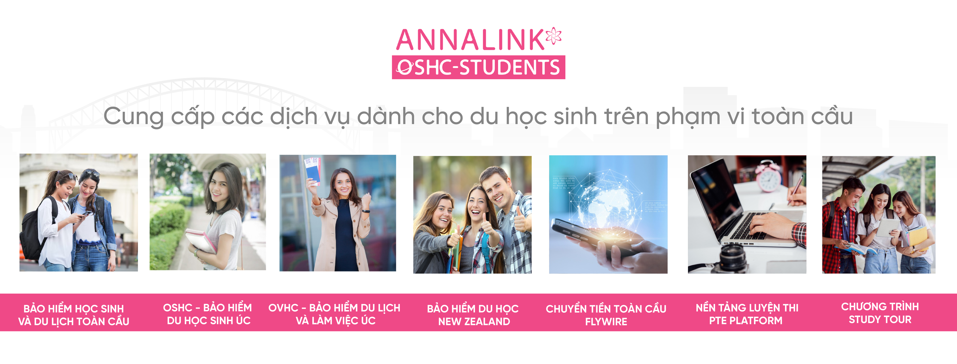 Cover image for Annalink