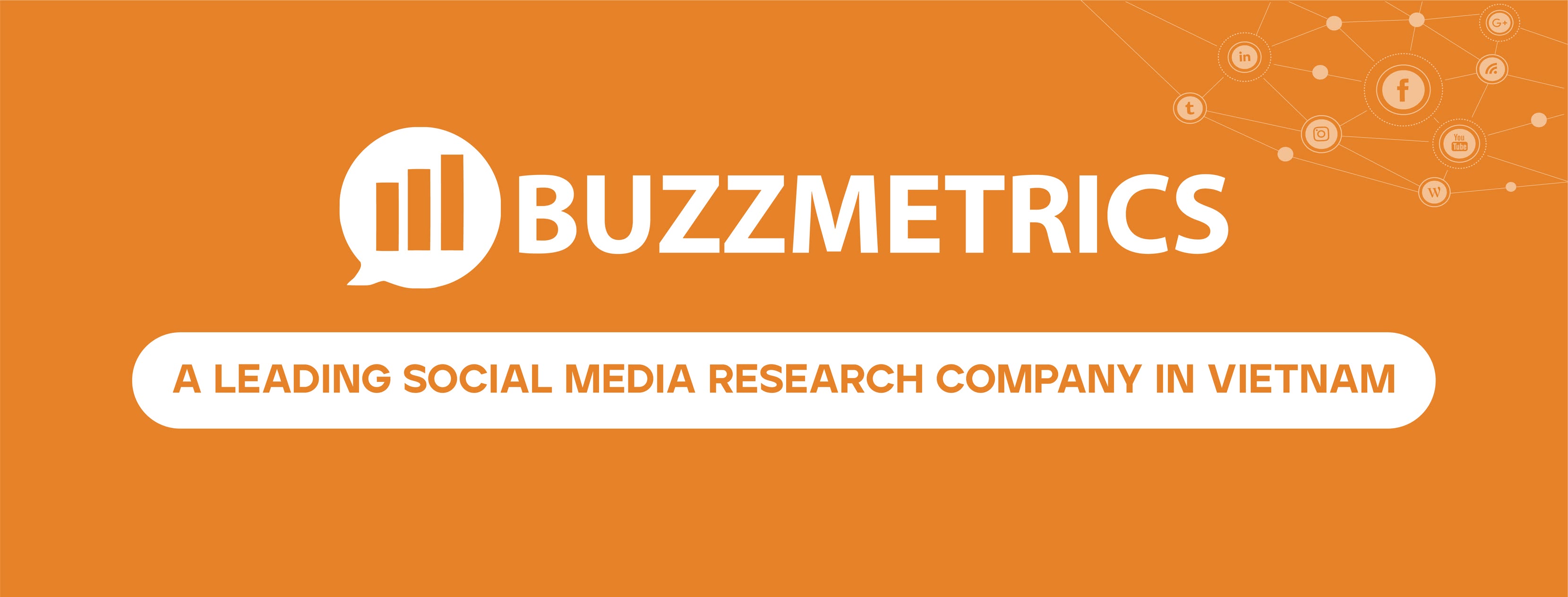 Cover image for Buzzmetrics