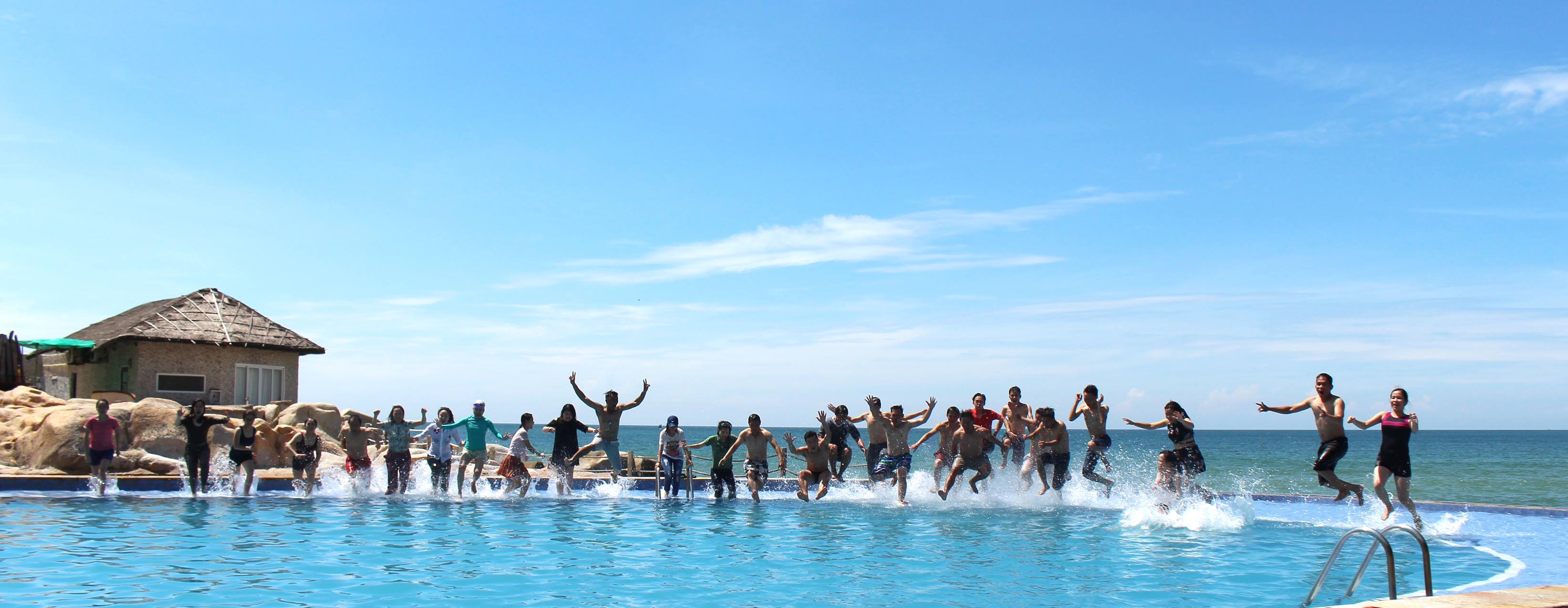 Cover image for CARGO CARE LOGISTICS