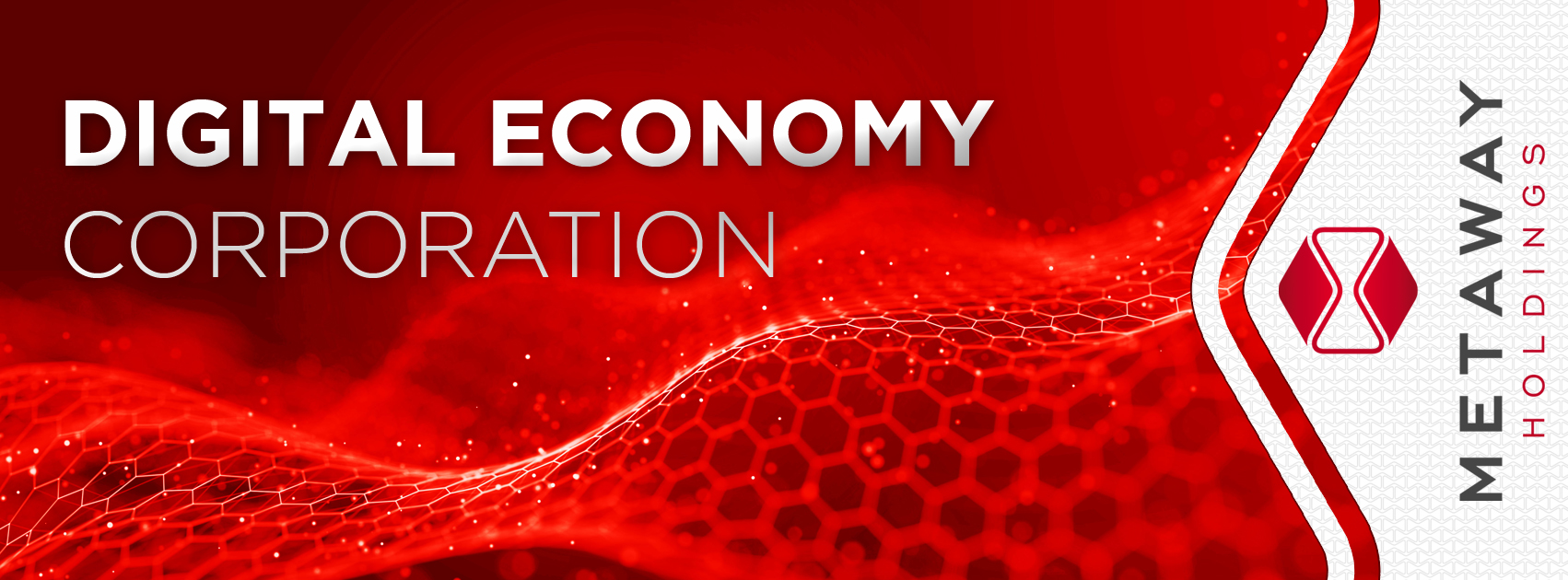 Cover image for METAWAY HOLDINGS