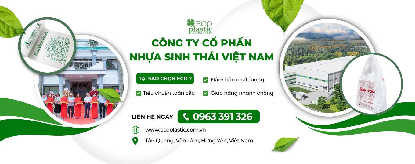 Cover image for Nhựa Sinh Thái Việt Nam
