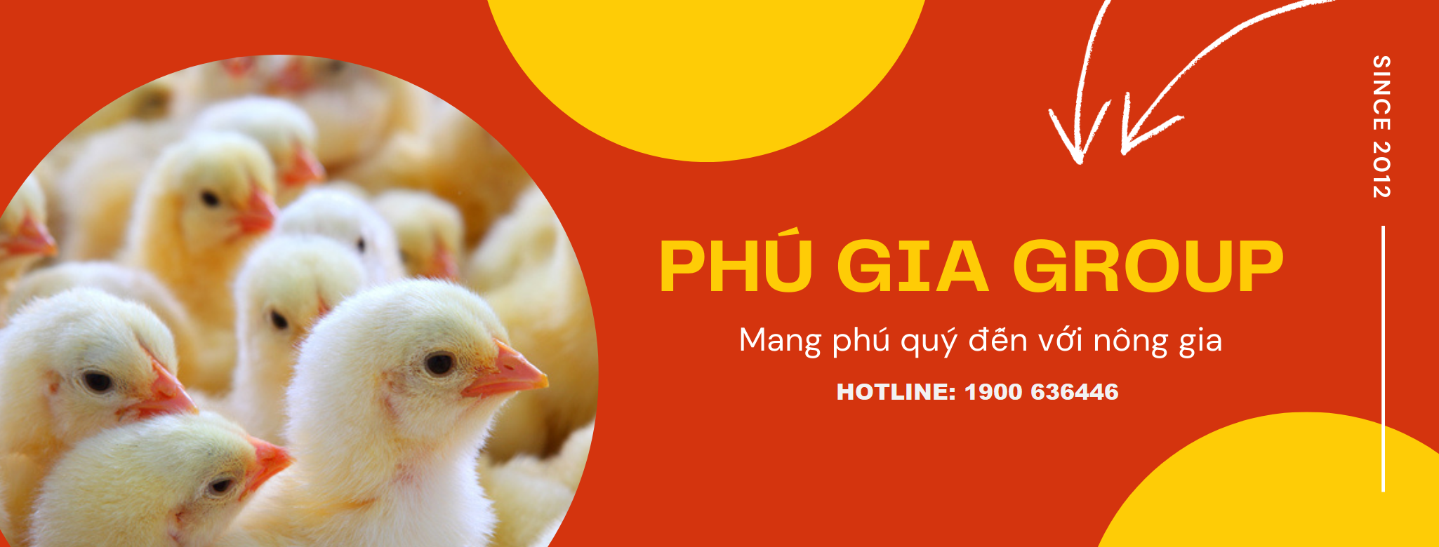 Cover image for Công ty cổ phần nông sản Phú Gia