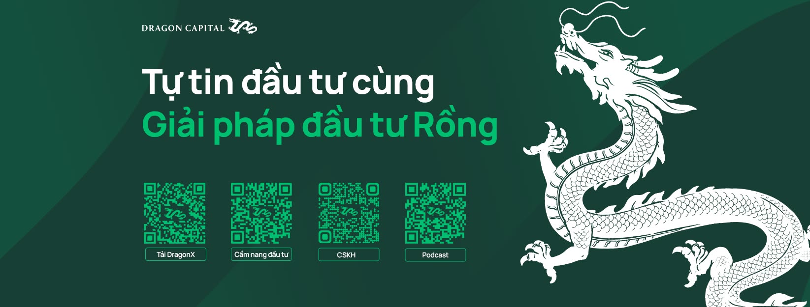 Cover image for Dragon Capital