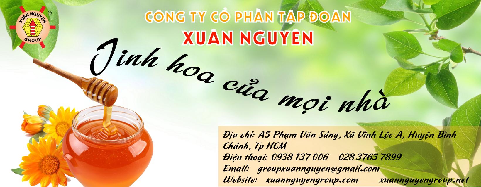 Cover image for Xuân Nguyên