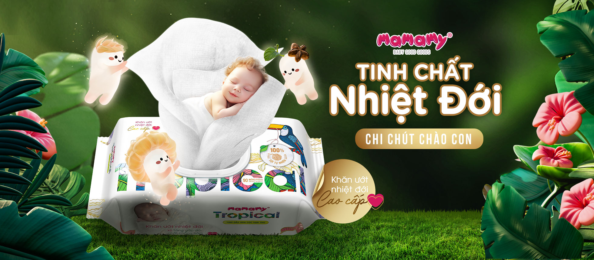 Cover image for DHTI