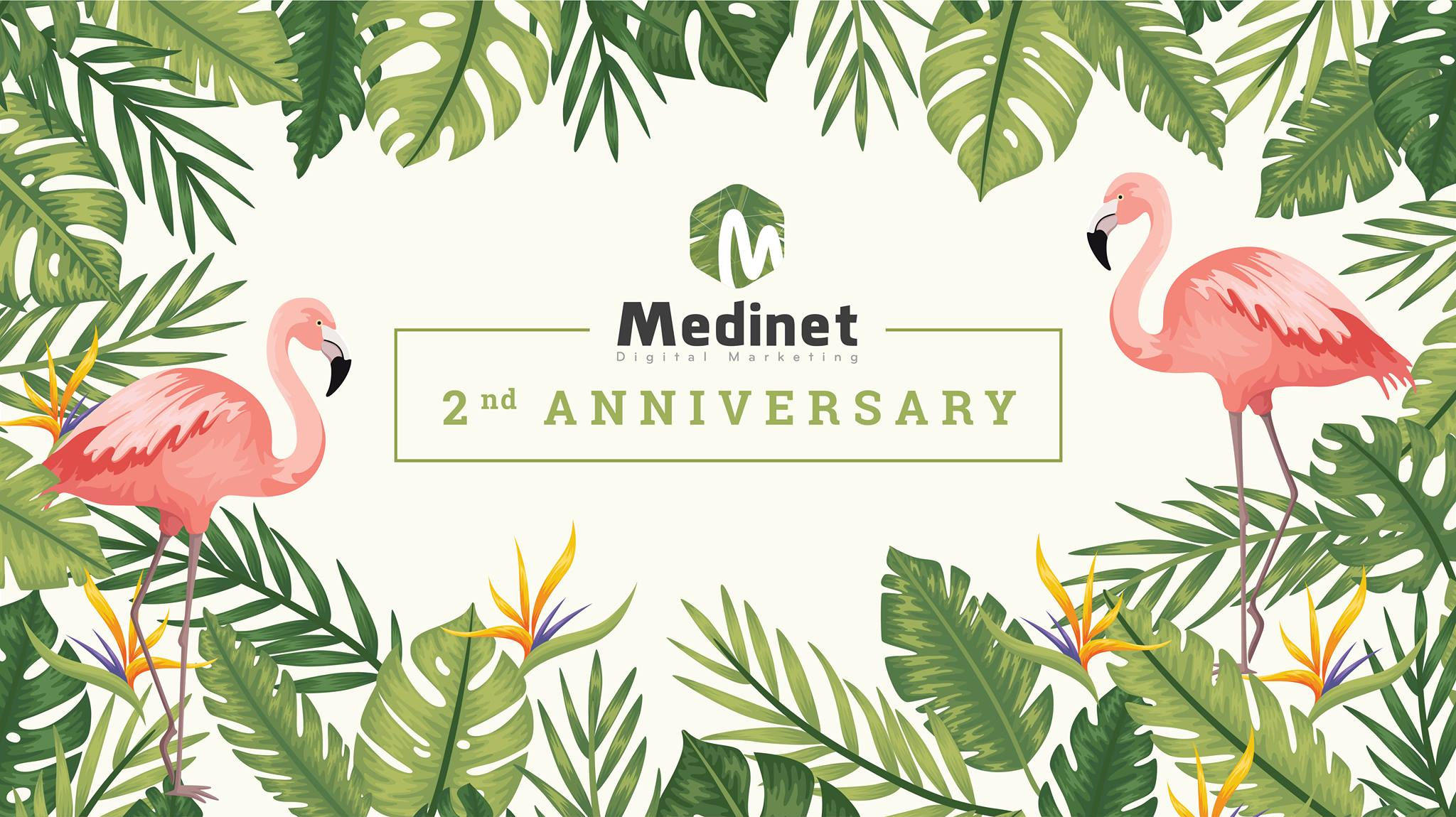 Cover image for Medinet