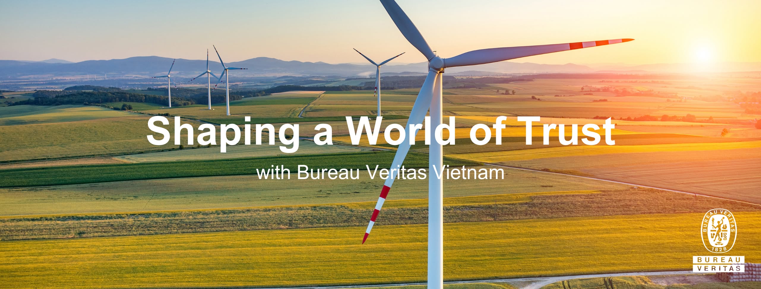 Cover image for VERITAS