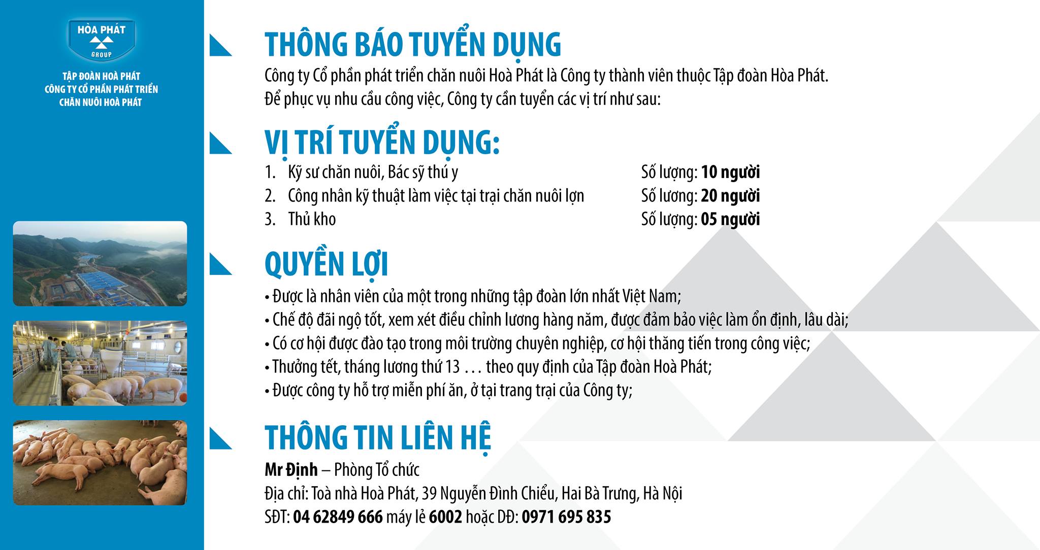 Cover image for Phát triển Chăn nuôi Hòa Phát