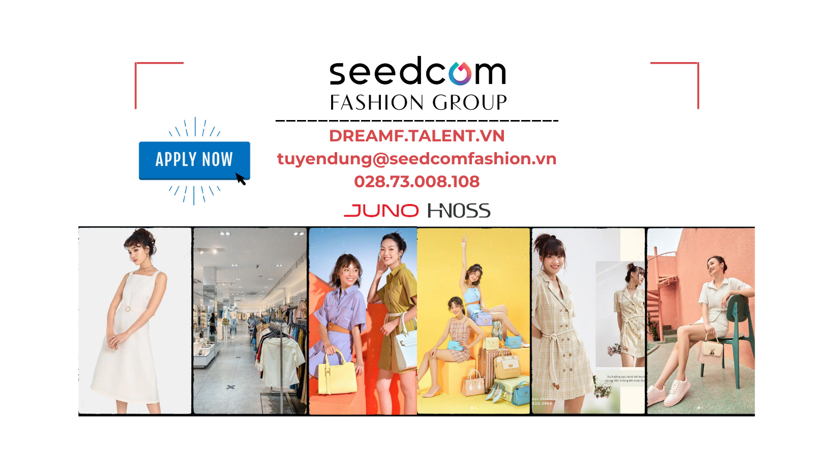 Cover image for Thương mại & dịch vụ Juno