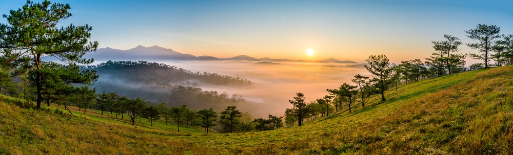 Cover image for Bất Động Sản Đà Lạt Homes