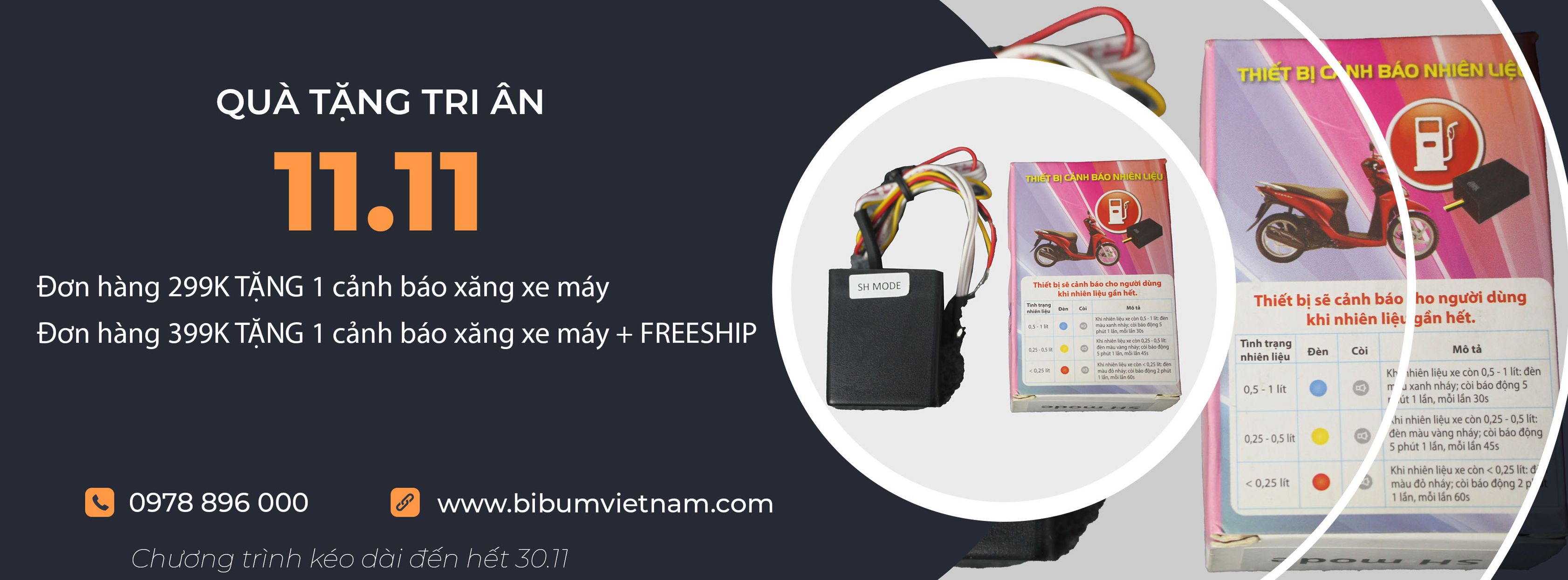 Cover image for Bibum Việt Nam