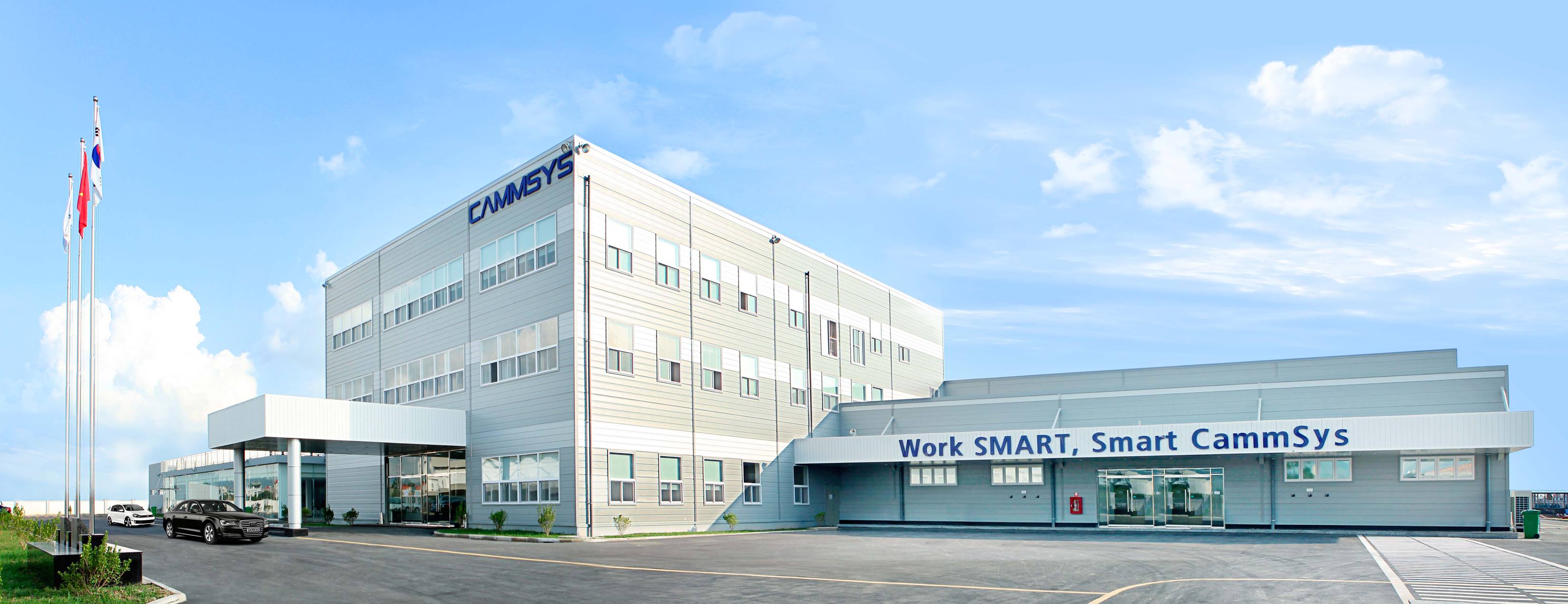 Cover image for Cammsys