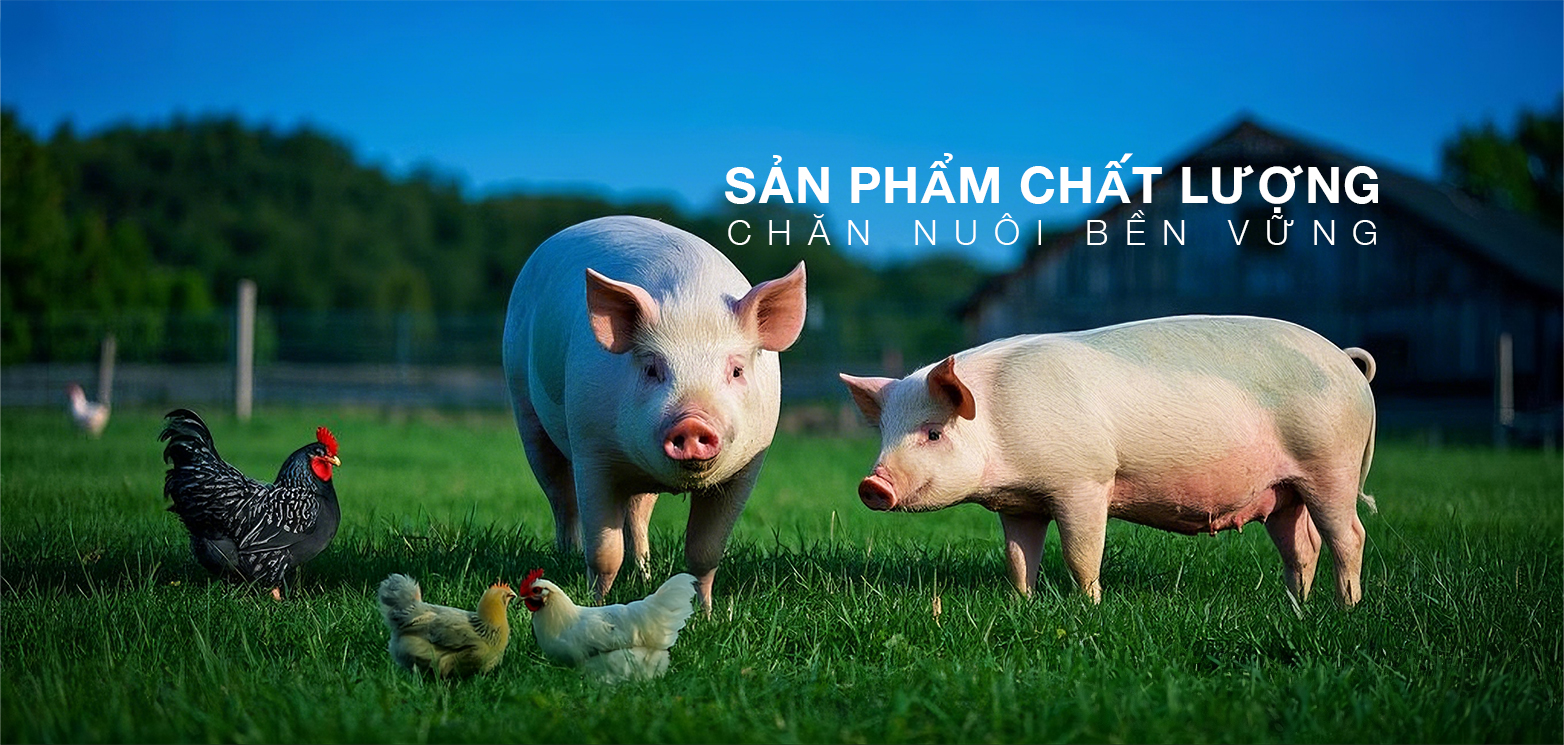 Cover image for ECOVET