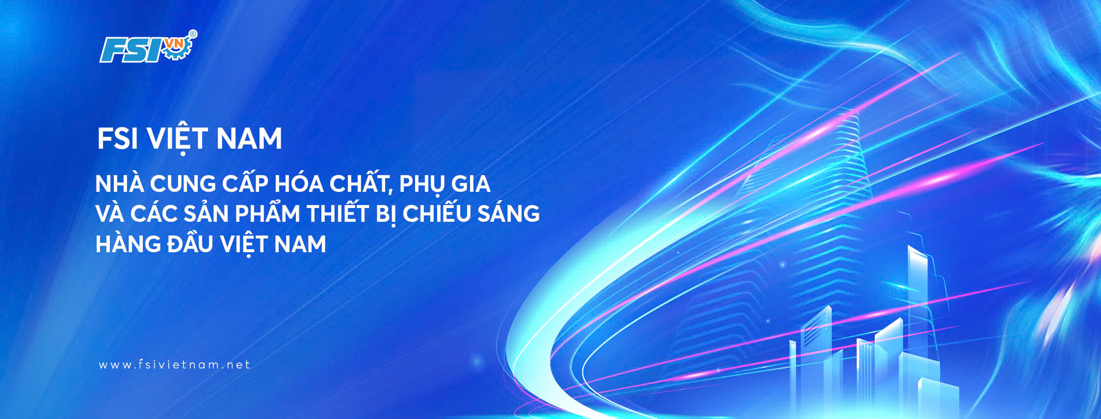 Cover image for FSI Việt Nam