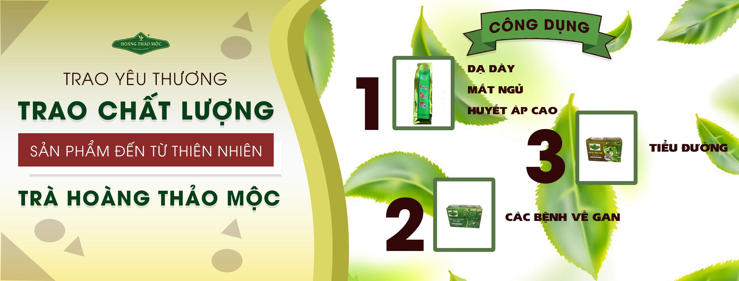 Cover image for Hoàng Thảo Mộc