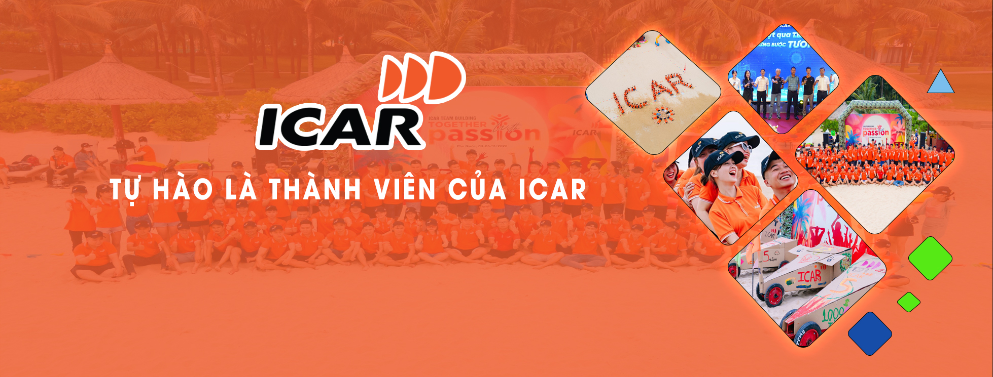 Cover image for ICAR Việt Nam