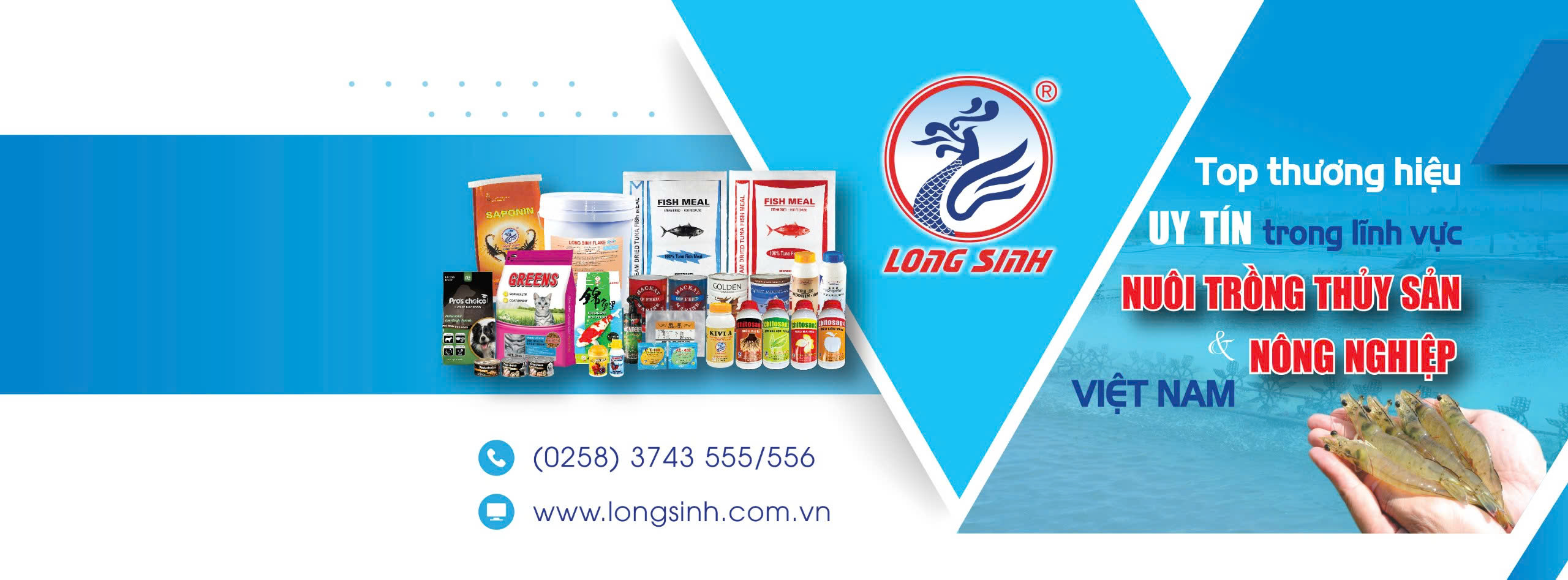 Cover image for Long Sinh