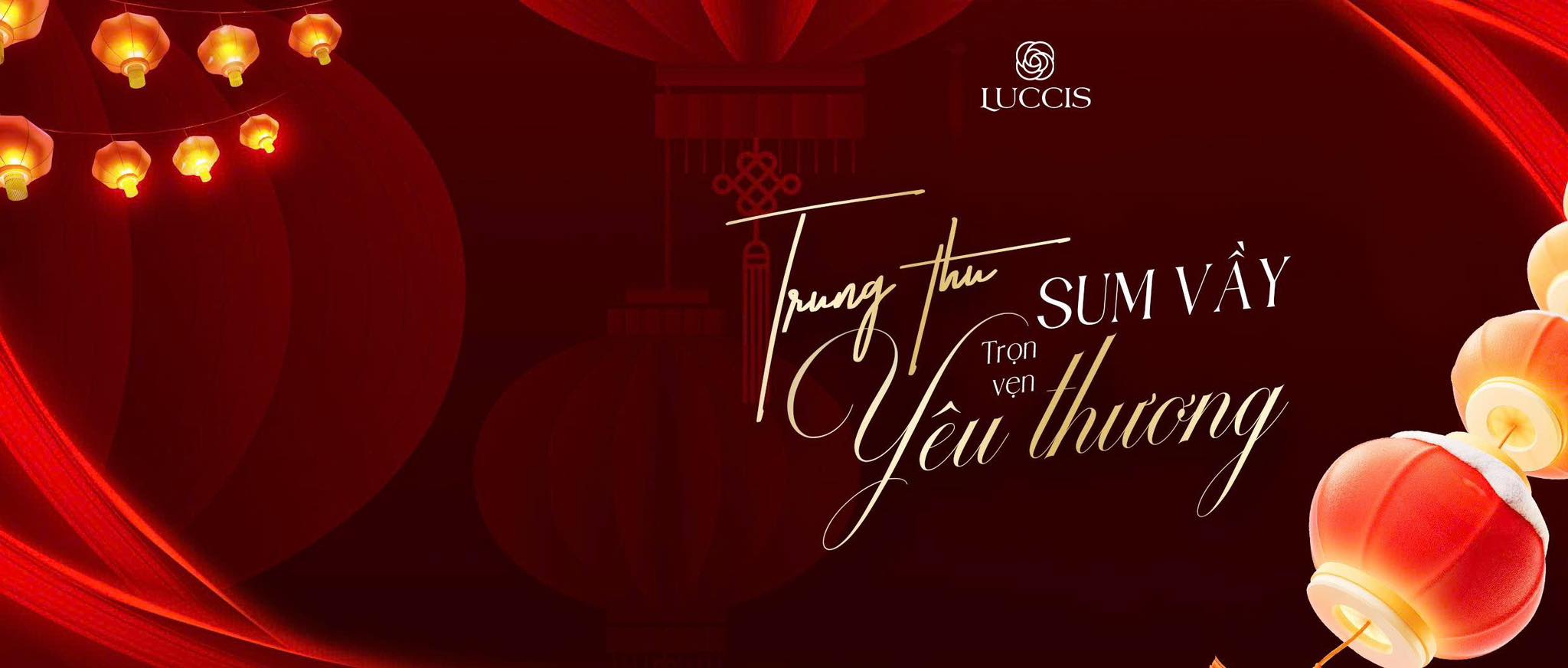 Cover image for LUCCIS