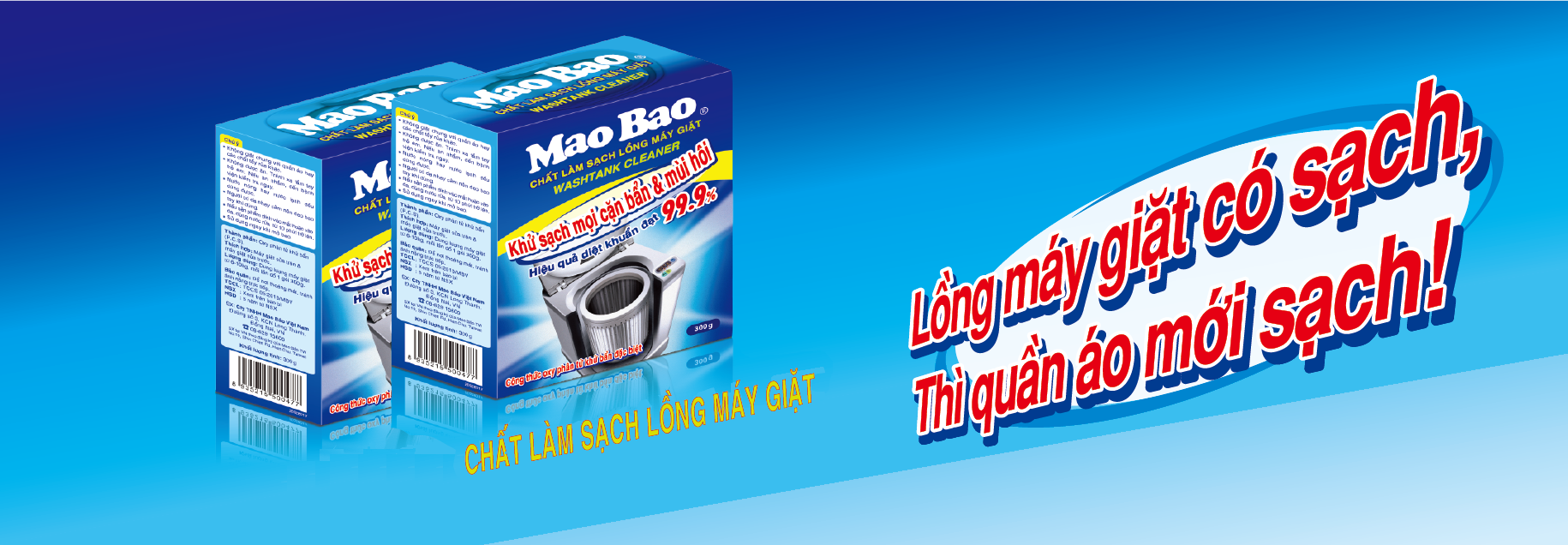 Cover image for Mao Bảo Việt Nam