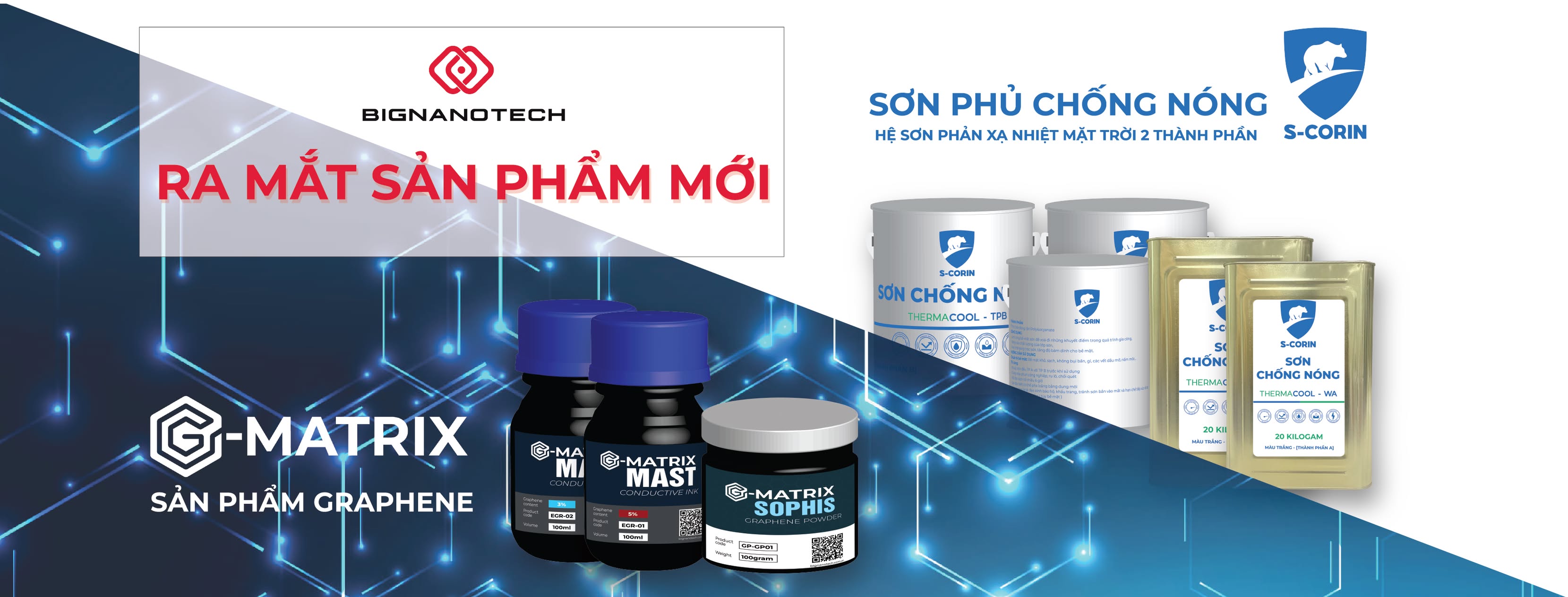 Cover image for Big Nano Technology