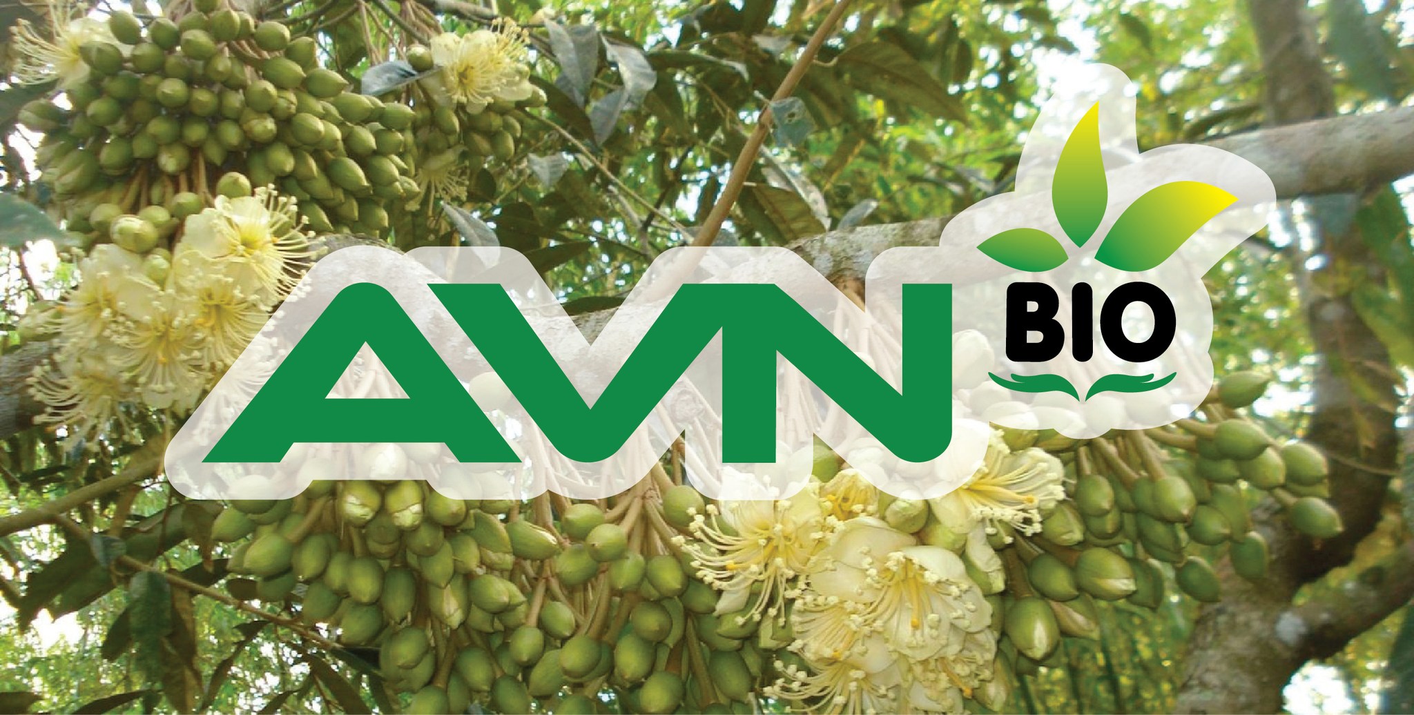 Cover image for NÔNG NGHIỆP AVN