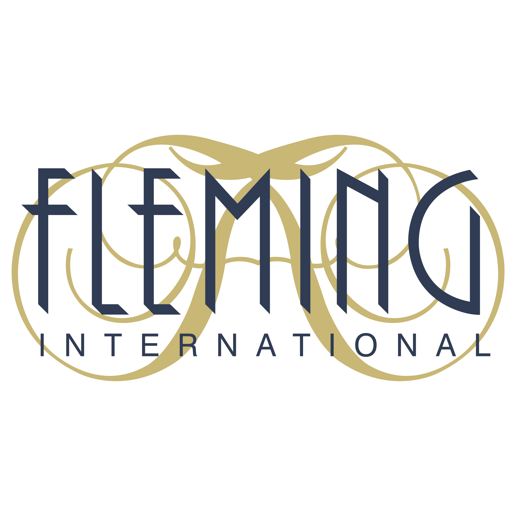 Cover image for Fleming