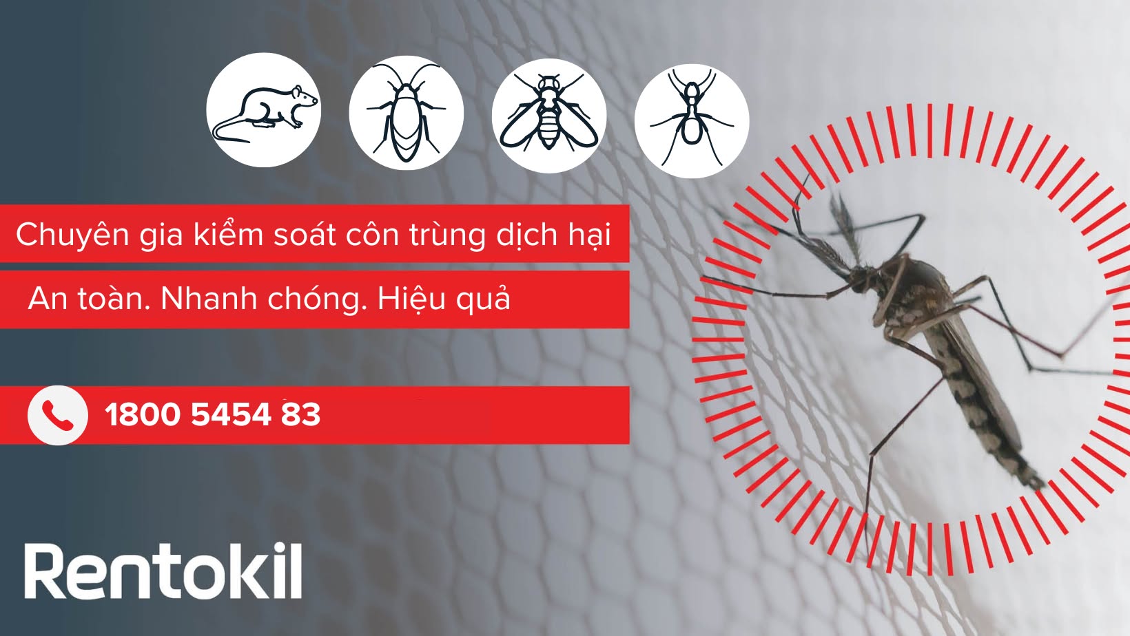 Cover image for Rentokil Initial