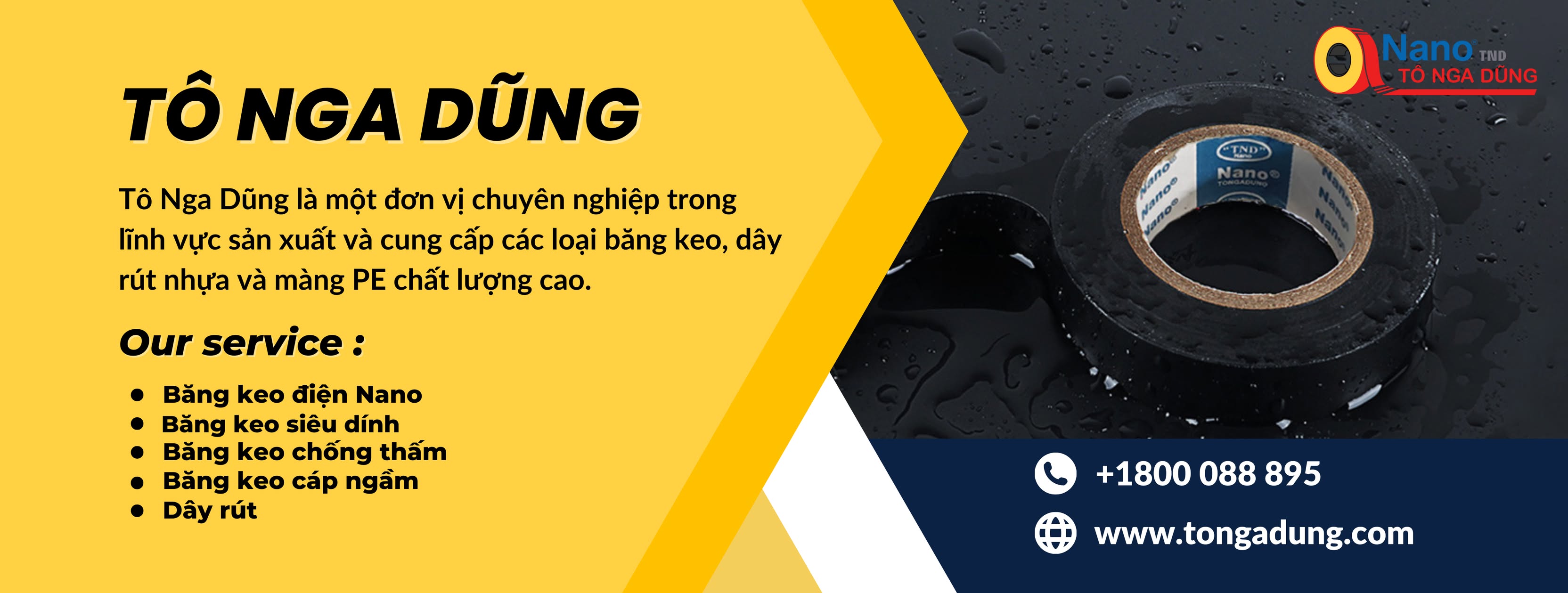 Cover image for Tô Nga Dũng