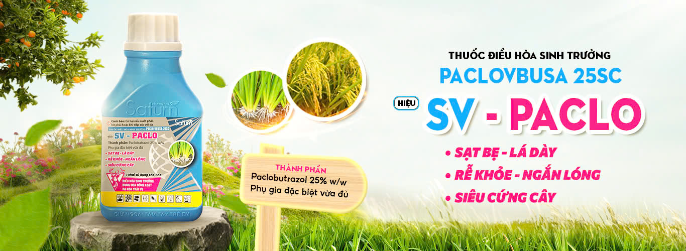 Cover image for Saturn Chemical Việt Nam