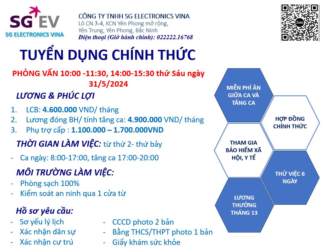 Cover image for Sg Electronics Vina