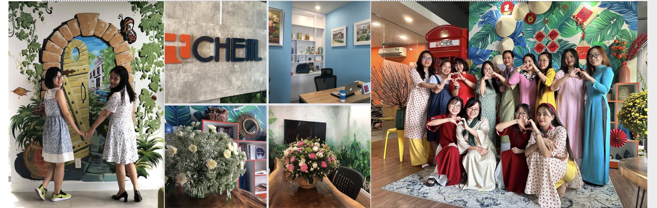 Cover image for Tchem Việt Nam