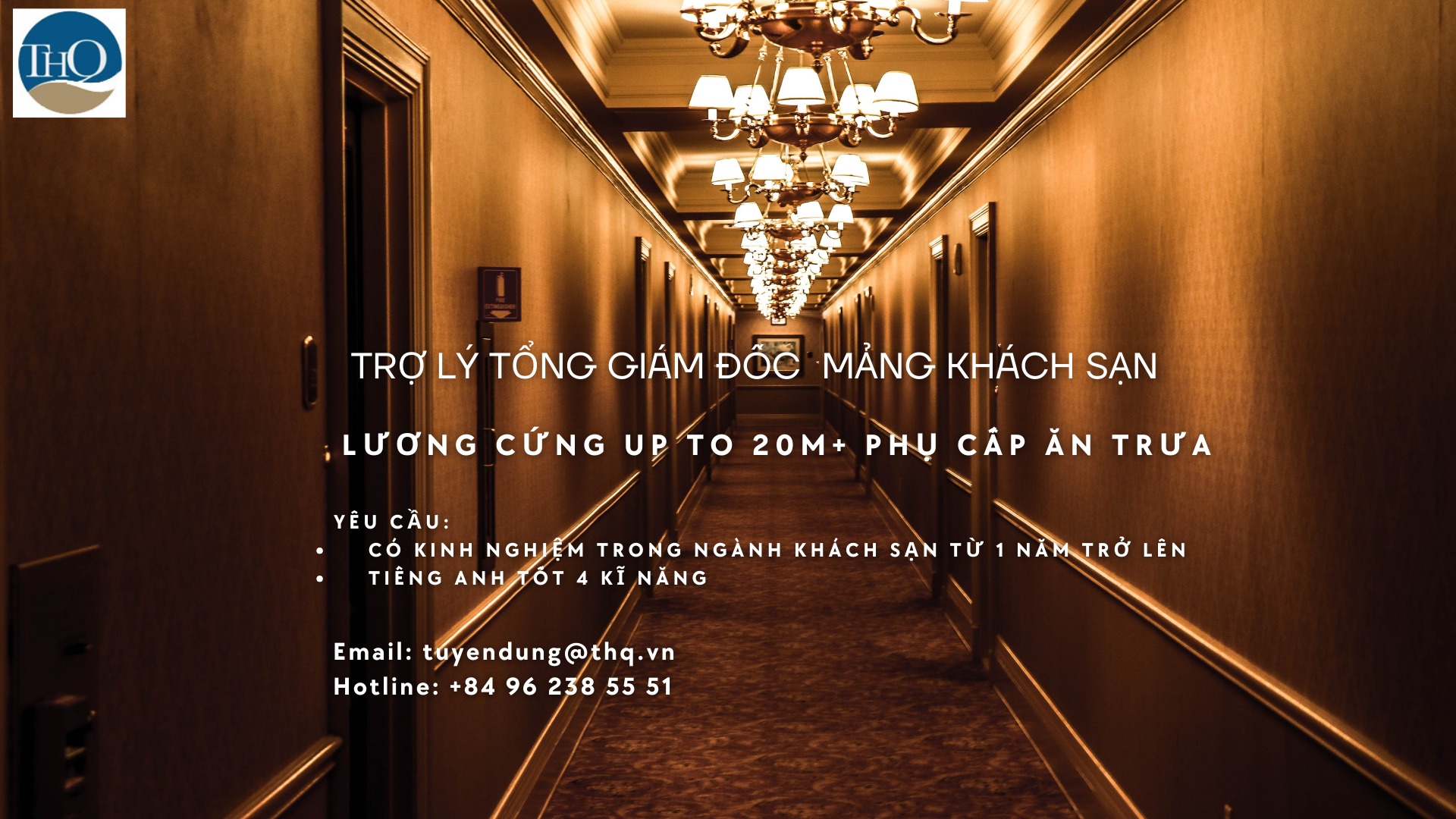 Cover image for Công ty TNHH Trần Hồng Quân Holdings