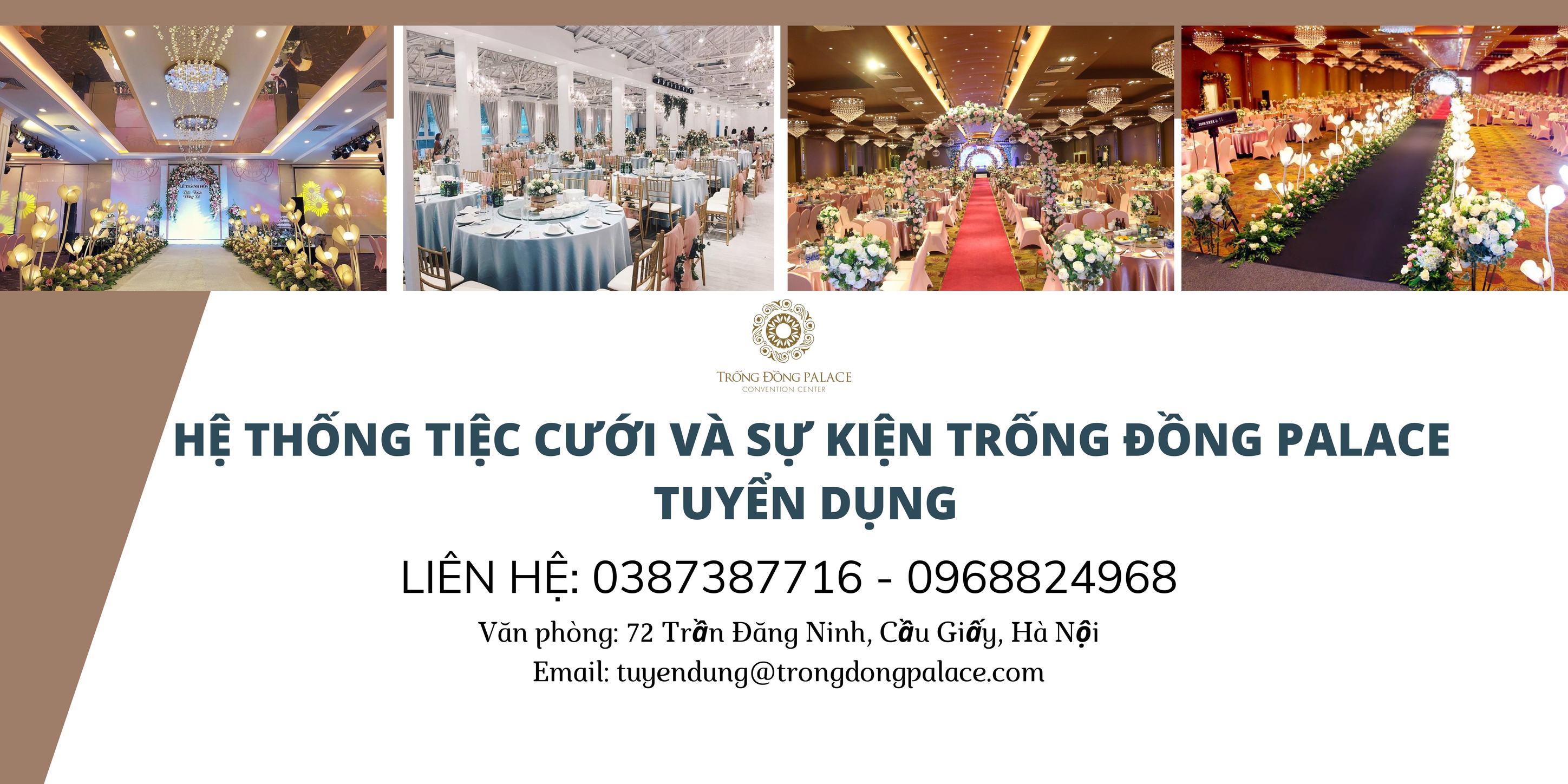 Cover image for TRỐNG ĐỒNG VIỆT NAM