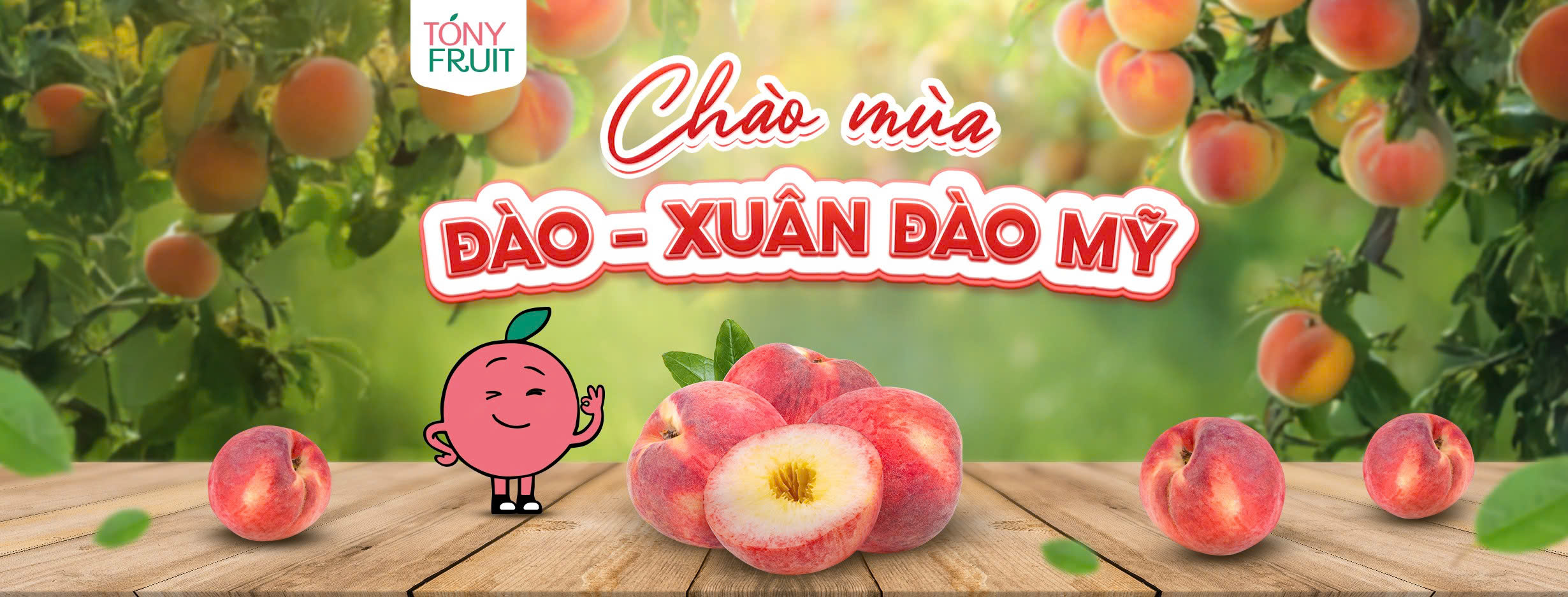 Cover image for Tony Fruit