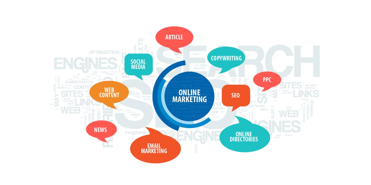 Cover image for VITZ