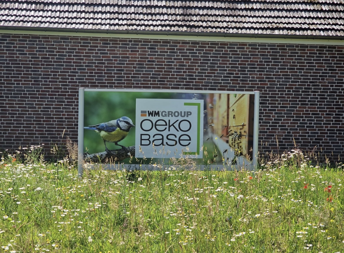 Cover image for WM GROUP