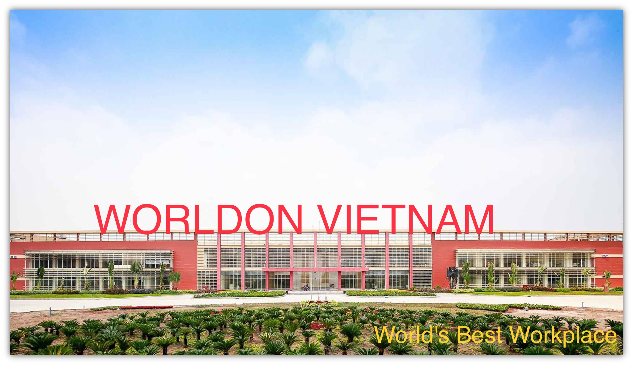 Cover image for CÔNG TY TNHH WORLDON (VIỆT NAM)