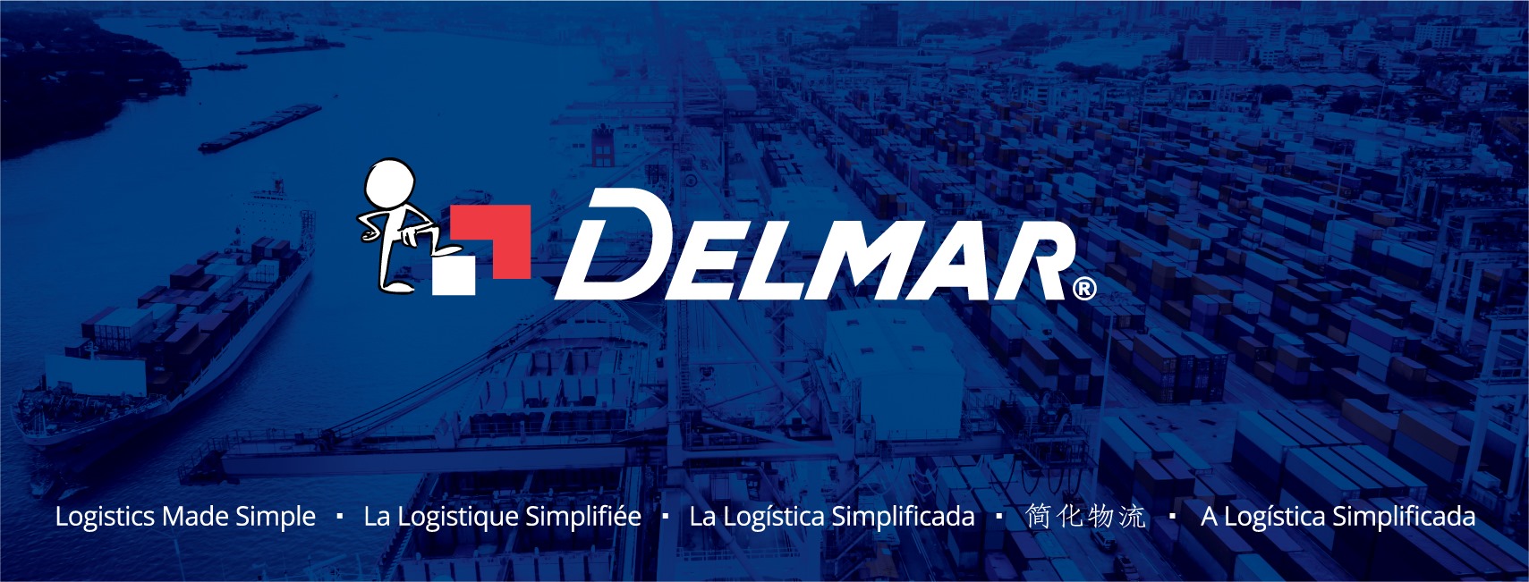 Cover image for DELMAR INTERNATIONAL (VIỆT NAM)