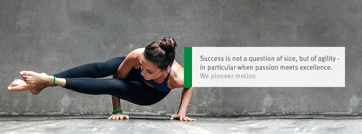 Cover image for SCHAEFFLER