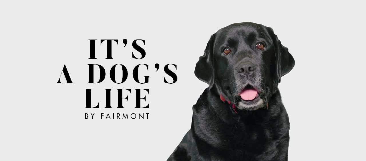 Cover image for Fairmont Hotels & Resorts