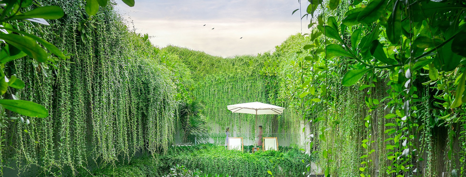 Cover image for Naman Retreat