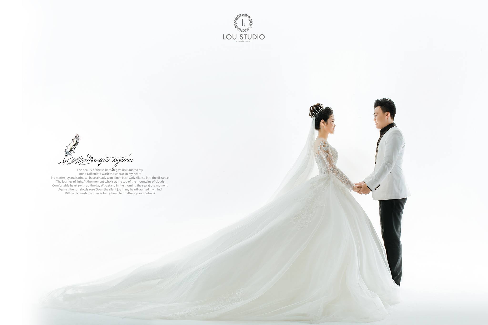 Cover image for Lou studio