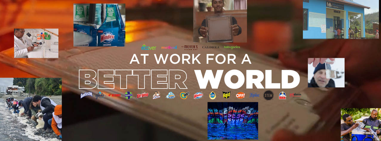 Cover image for SC Johnson