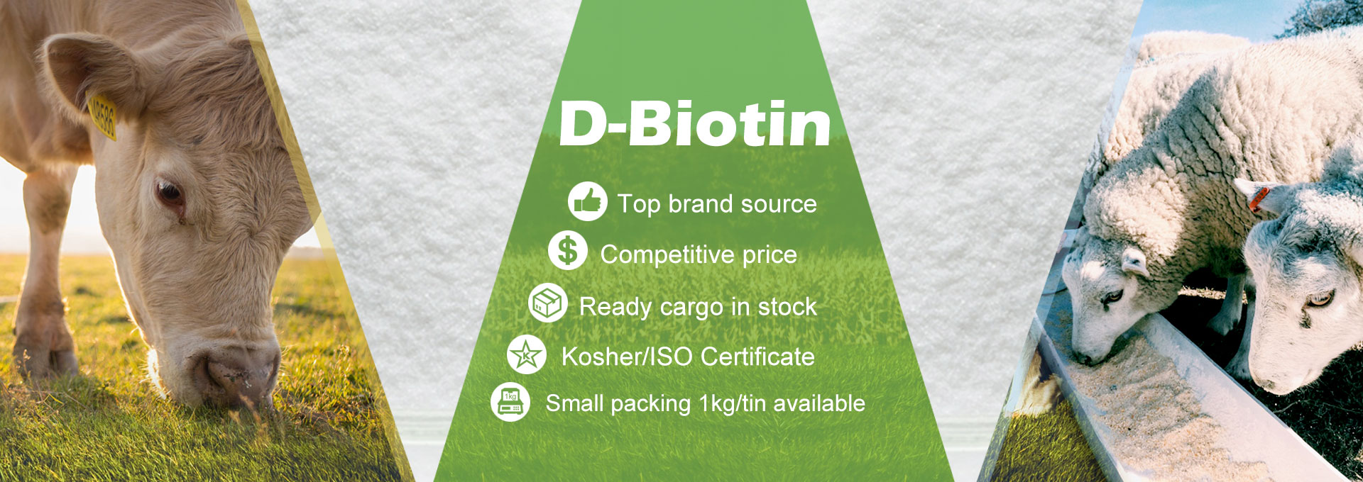 Cover image for The representative office of Arshine Pharmaceutical Co