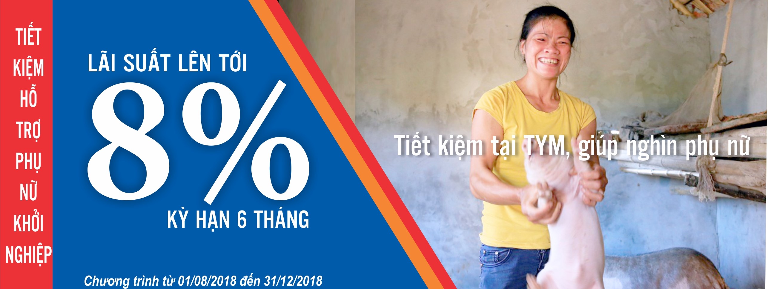 Cover image for Tổ chức Tài chính vi mô TNHH Một thành viên Tình Thương