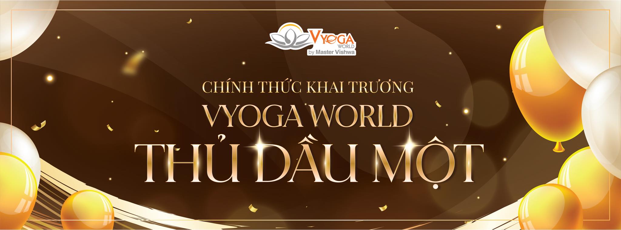 Cover image for VYOGA WORLD