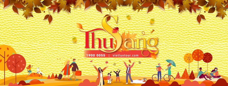 Cover image for Vietluxtour