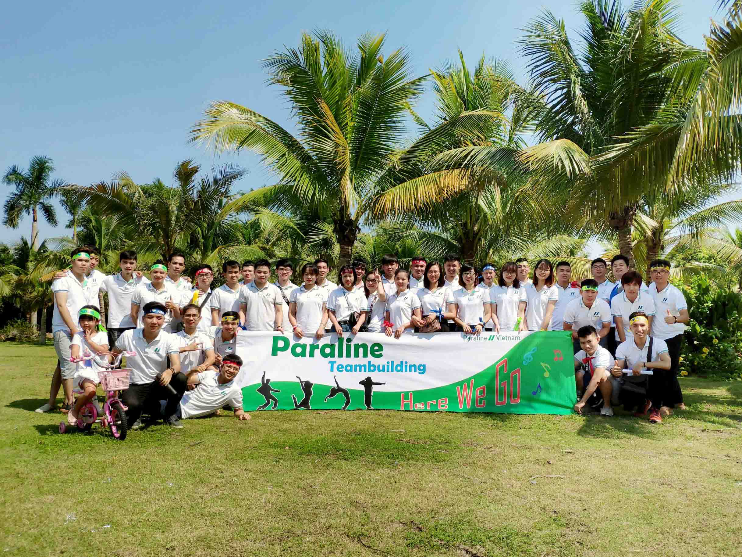 Cover image for PARALINE SOFTWARE