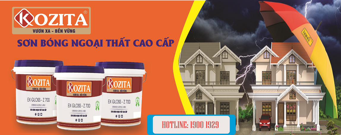 Cover image for Sơn Kozita